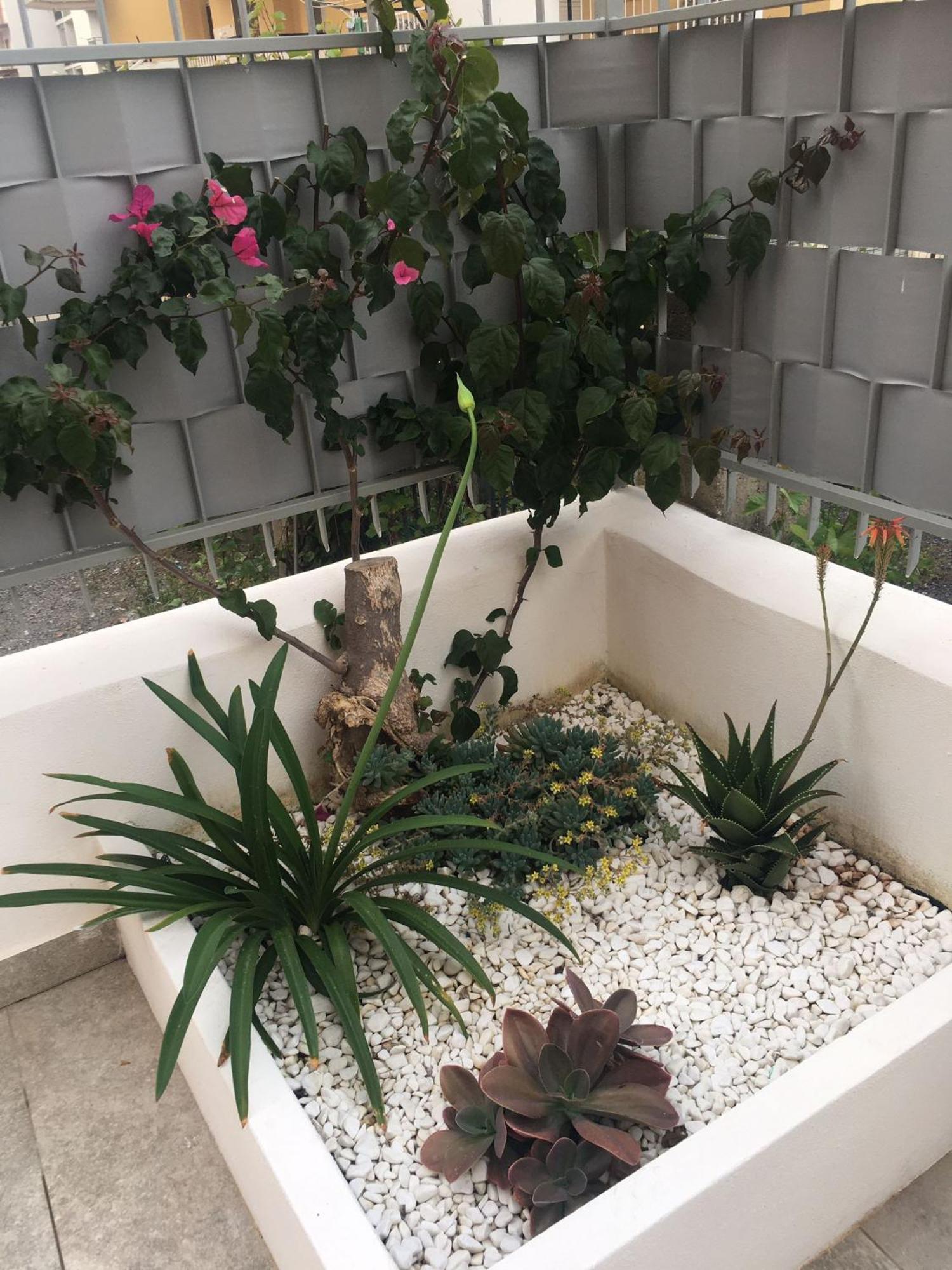 Gilda'S Home Scalea Luaran gambar